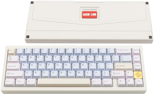 WOBKEY Zen 65 65%NCbN[XCXJjJL[{[h RGB CNCA~jEP[X zbgXbvΉ BT/2.4G/USB-C Q[~OL[{[h Mac/Windowsp (CgzCg)