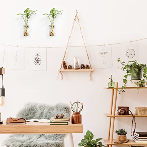 Wall Hanging Planter Glass Plant Propagation Station,Plant Terrarium Perfect for Home Garden Office Decoration Accessories-4 Cylinder Shape Container - Image 3