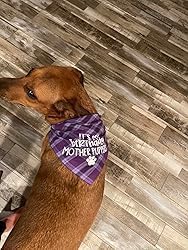 Miniatura 7 de Bandana de cumpleaños para perro, bandana de cumpleaños para cachorros para perros pequeños, medianos y grandes