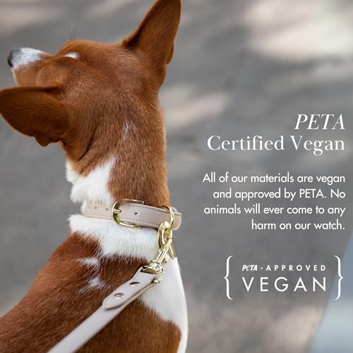 Nina Woof Copenhagen Hundehalsband aus veganem Leder, gepolstert, verstellbar, Beige, Größe M