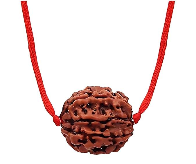 ptm Natural Certified 11 mukhi (Eleven face) Astrological Original Nepali Rudraksha Beads with lab tested certificate for men & Women-picture-39