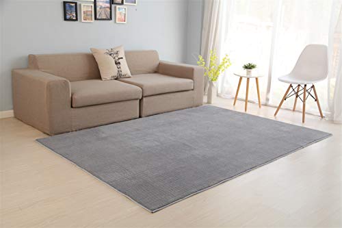 Ommda Alfombras Salon Grandes Moderna Rectángulo Respaldo de Goma Ant