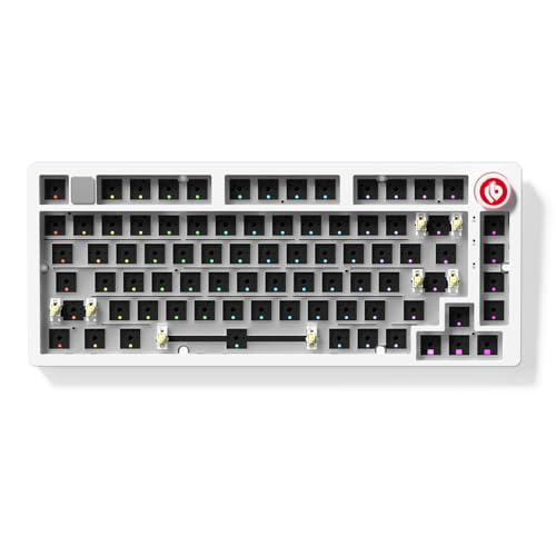 CORBOBO LEOBOG Hi75C Upgraded Wired Mechanical Keyboard Kit...