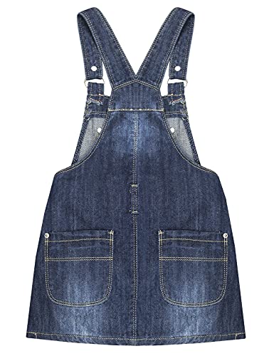 Image of KIDSCOOL SPACE Baby Little Girls Fox Flowers Embroidered Lace Denim Overall Dress