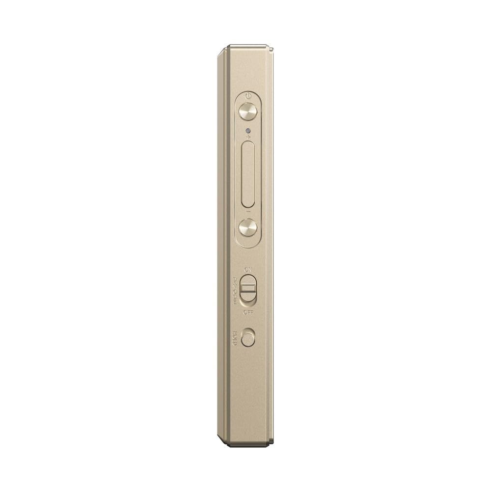 Amazon.co.jp: FIIO M21 Titanium Gold FIO-M21-G【日本正規販売店より 