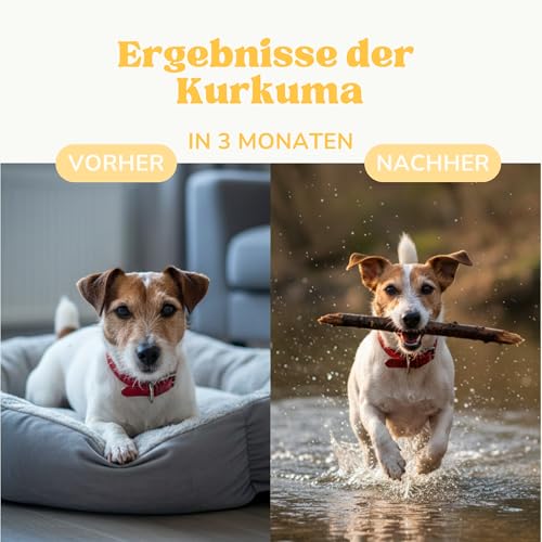lamina care - Gelenk-Supplement für Hunde und Katzen – Kapseln mit Kurkuma & Piperin – Unterstützt Beweglichkeit, Gelenkfunktion & antioxidativen Schutz – 60 Kapseln
