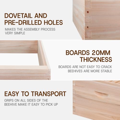 10 Frame Bee Hive, Compelte Bee Hive Starter Kit Includes 1 Deep Brood Honey Bee Hives Box, 1 Medium Super Bee Box with Beehive Frames and Foundation Sheets - Image 4