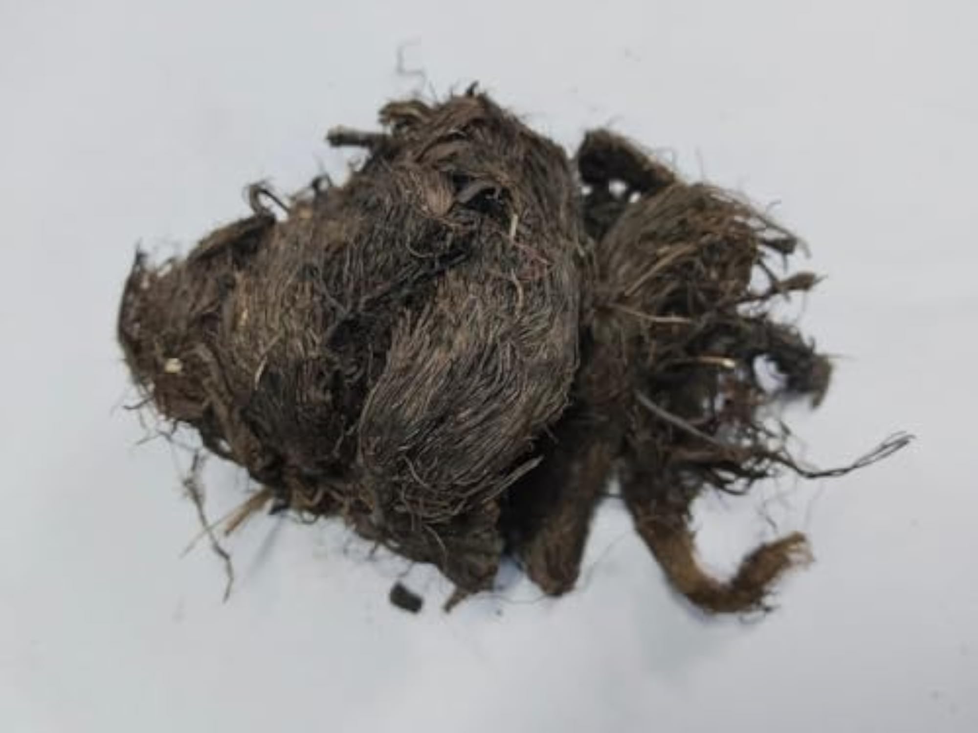 Natural Dried Jatamansi Root, Aromatic Herbal Root