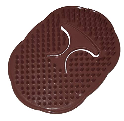 Tupperware All Purpose Pocket Brush in Walnut Brown