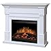 Amazon.com: Dimplex Sussex Electric Fireplace in White : Home & Kitchen