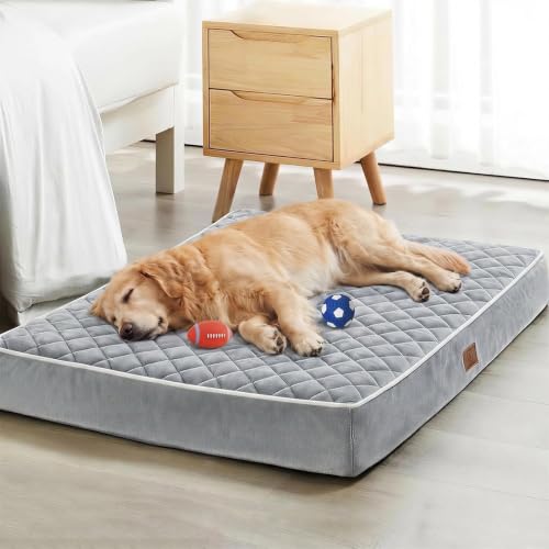 WNPETHOME XL Waterproof Orthopedic Bed
