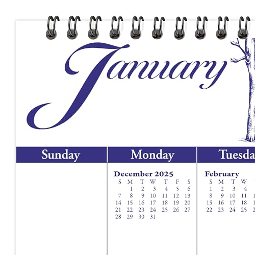 Image of AT-A-GLANCE 2026 Wall Calendar, 12 inch x 12 inch, Medium, Illustrator's Edition (G10001726)