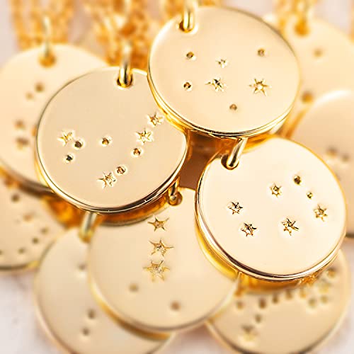 Mevecco Gold Necklace Coin Disc Zodiac 12 Constellation Pisces Star Engraved Horoscope Sign Astrology Pendant 18K Gold Plated Chain Dainty Personalized Simple Jewelry #TOP5
