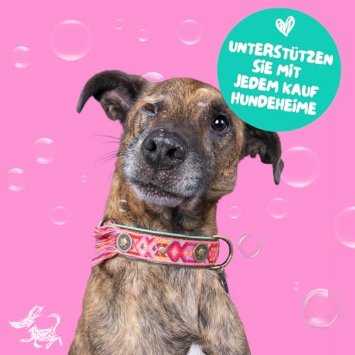 Dog with a Mission - Hundehalsband L | Farbenfroh in Rosa und Türkis | Boho, Ethno, Ibiza, Hippie | Ideal für große Hunde | Handgemacht | Modisch und Bunt | Aus weichem Echtes Leder | 4 cm Breit
