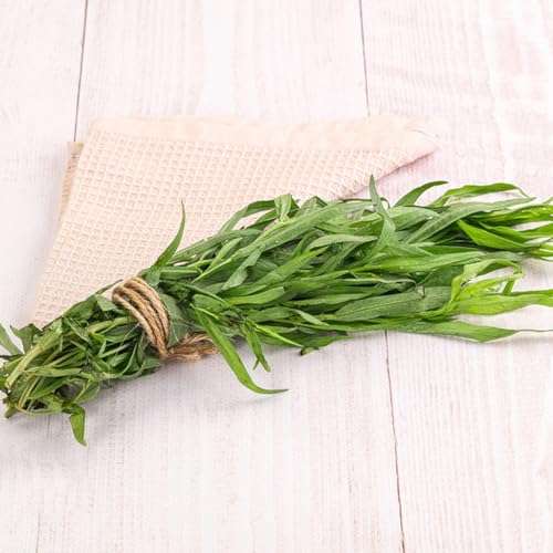 semi dragoncello cucina con orto di dragoncello semi biologici, balcone da giardino tappezzanti resistenti 60pcs