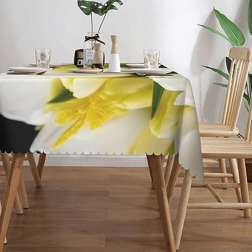 Nappe rectangulaire blanche anti-tache et infroissable pour salle à manger