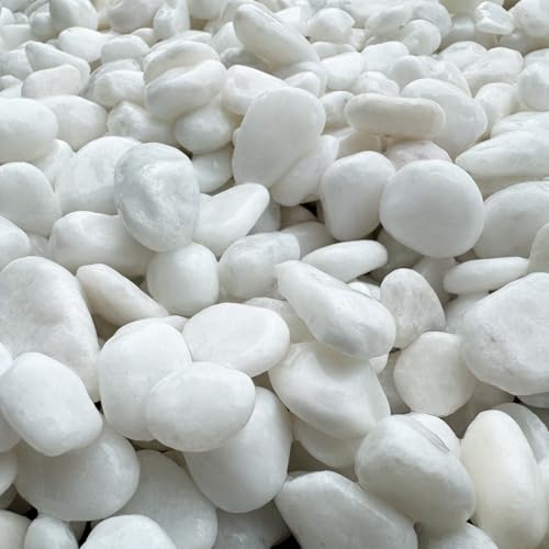 TAIKOH NX^zCg 5 15-20mm ύ  ʐ  (NX^zCg5(15-20mm), 40kg)