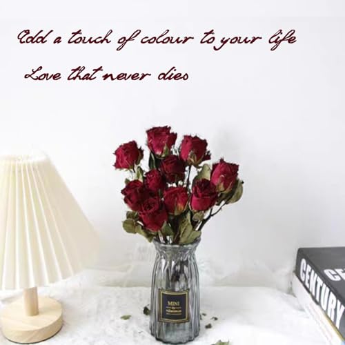 Ramo de flores secas naturales TooGet, 10 rosas rojas, pack 2 miniatura 6