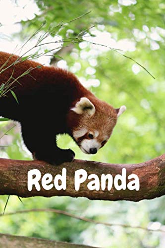 The Red Panda Notebook: Lovely Journal / Diary / Notepad, for Kids Girls, and Teens, Cute Panda With Bamboo