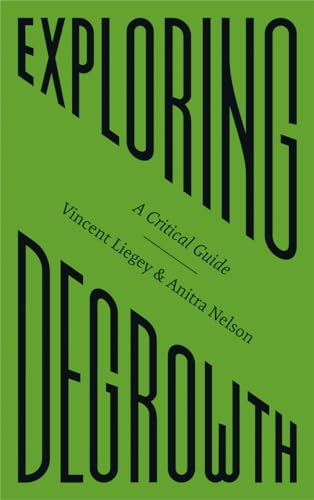 Exploring Degrowth: A Critical Guide (Fireworks) view 2