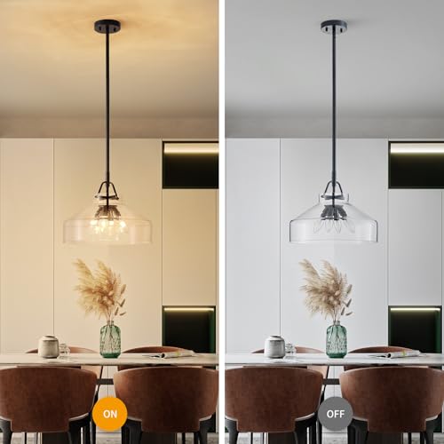 Image of WUZUPS Chandelier Rustic Farmhouse Industrial Round Ceiling Pendant LED Light Fixture with Clear Glass Shades for Dining Room Kitchen Island Foyer Entryway, H 11.8 inch W 15 inch, E26 Base, Brushed Nickel