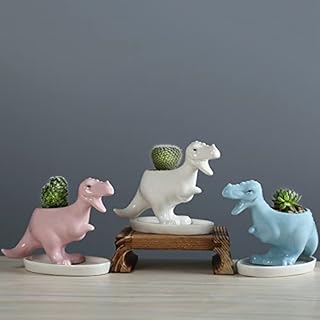 QYCX Plant Pot, Mini Ceramic Succulent Plant Pots with Drainage Tray, Dinosaur Shaped Succulent Planter Pot Small Ceramic Flower Pots Succulent Planter Mini Cactus Planter Pots Flower Container Animal Bonsai Holder Plant Container Decor Garden Cactus Plant Pot with Drain Hole for Indoor Ourdoor Home Office Garden Decor (White Dinosaur Plant Pot)