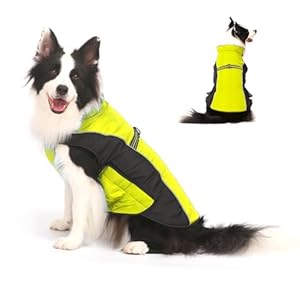Warm Dog Winter Coat, Gimilife Dog Sweater Dog Cold Weather Coats Waterproof Dog Apparel Clothes Pet Jacket Padded Vest Outfit for Small Medium Large Dogs
