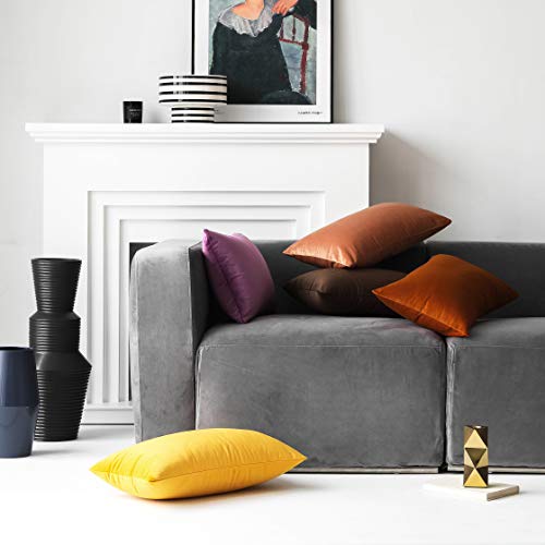 Mixhug Set Of 2 Cozy Velvet Rectangle Decorative Throw Pillow Covers For Couch And Bed, Pale Coral, 12 X 20 Inches #TOP2