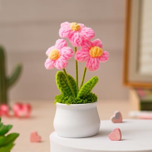 JH Gallery Small Pink Knitted Flowers with White Pot for Table, O...