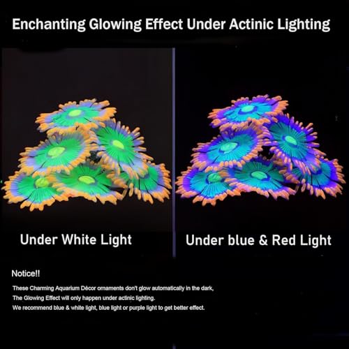 Image of ZtohPyo Glowing Effect Soft Anemone Aquarium Fish Tank Decorations Silicone Glow in The Dark Artificial Ornament Plants for Aquarium Landscape Small /Large Fish Bowl Decor Accessories