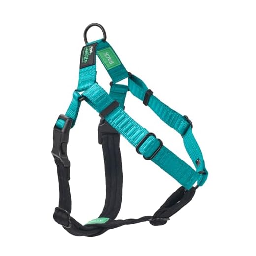 Rover Gear Better Walk No Pull Dog Harness, Adjustable and Comfortable Dog Harness, Medium ⅝ Inch, Teal