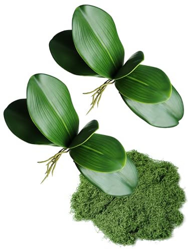 Forlaoers Real Touch 2pcs Orchid Stems Green Fake Leaves with 1.8oz Moss Phalaenopsis Artificial Greenery Fake Plant Leaf for Vase Filler Flower Arrangements Supplies Cymbidium Pot Decor