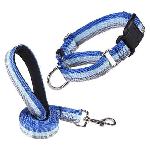 ESGPET Martingale Dog Collar and Leash Set for Walking, Playing, Training, Reflective Adjustable Puppy Collars with Leash for Small Medium Large Dogs (Blue,Large)