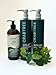 Crab tree Shampoo 443ml, Moisturise and Renew Conditioner 443ml Cleanse and Clarify with Senerita Grape Seed and sage Shampoo 400ml, Hair Care Bundle
