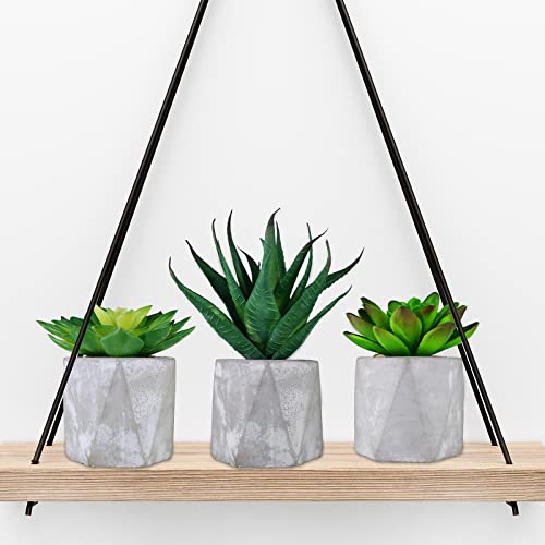 6 Pcs Assorted Small Artificial Potted Succulents Plants Aloe Sedum In Gray Concrete Ceramic Pots Geometric Planters For Party Favor Gift Home Windowsill Tabletop Shelf Indoor Outdoor Greenery Decor #TOP7