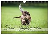 Treue Jagdgefährten Der kleine Münsterländer (Wandkalender 2026 DIN A4 quer), CALVENDO Monatskalender: Der kleinste Vorstehhund bei der "Arbeit" in Feld und Flur. (CALVENDO Tiere)