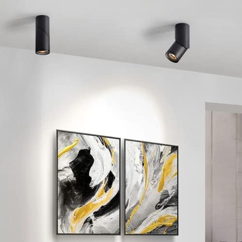 Adjustable Black LED Ceiling Spotlight | Rotatable Accent Lamp for Indoor Lighting | Gallery Picture Light & Mini Spotlights for Home Decor