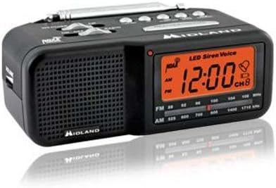 COLOR RADIO CLOCK WITH DVR HIGH RESOLUTION MOTION DETECTION