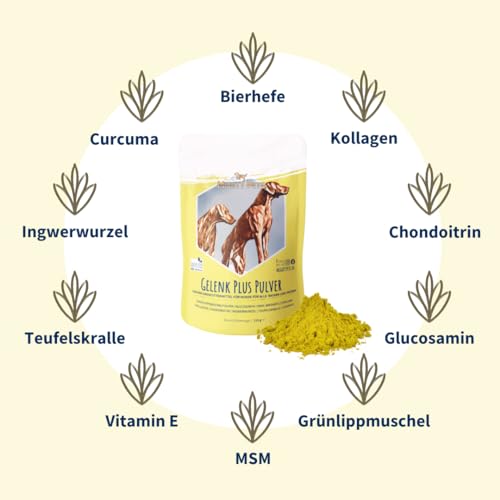Mighty Pets - GELENK Plus Pulver (bis 125 Portionen) für Hunde mit Grünlippmuschel, MSM, Teufelskralle, Curcuma, Chondroitin, Glucosamin, Bierhefe aus Deutschland