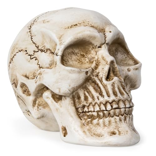 Estatua de Calavera de Resina para Decoración Hogar miniatura 1