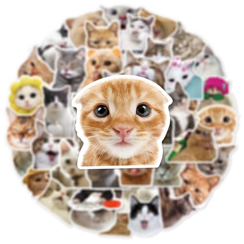 MORAINJAY 100pcs Cute Funny Cat Stickers for Kids,Cartoon Theme Water Bottle Stickers for Teens Boys Girls,Aesthetic Cat Anime Vinyl Stickers Party Favors for Kids Party Bags Filler,Laptop,Skateboard - Image 4