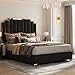 AMERLIFE King Size Upholstered Bed, Modern Velvet Bed Frame with 65.4” Tall Gold Trim Headboard, No Box Spring Needed, Black