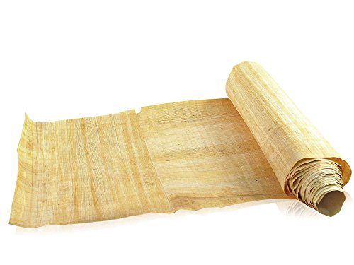 Papyrus Buchrolle 400cm - Plinius der Ältere secundus - Forum Traiani - Schriftrolle aus ägyptischem Papyrus - Antike Schriftrolle Cover