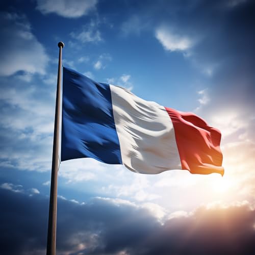 Bandera Francia grande para Exterior 225 x150cm ，Bandera de Francia balcón Reforzada y con 2 Ojales metálicos (Francia)