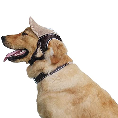 ybg싅Xq ėp Op ʋC Lbv AAAO猢ی ^ё^p