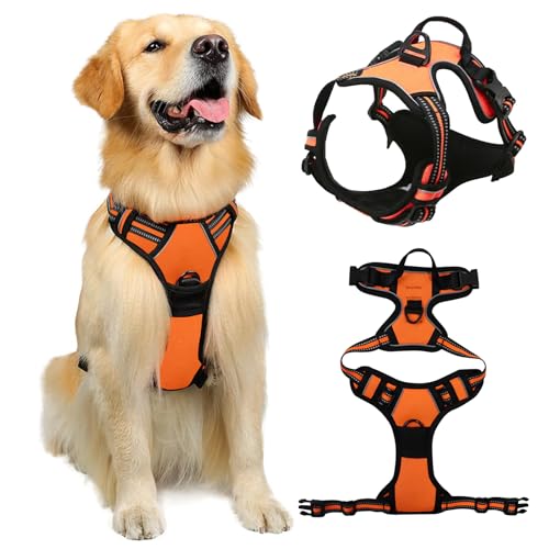 HTTDSLF Pettorina Cane Taglia Grande, Pettorina per Cani Anti Tiro Riflettente, Imbracatura Robusto e Regolabile per Addestramento Passeggiate, Arancione, L