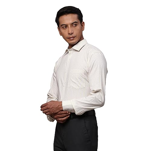 Image of Park Avenue Men's Pure Cotton Stripe Pattern Slim Fit Semi Cutaway Collar Full Sleeve Formal Shirt