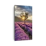 Des couleurs durables et des encres professionnelles feront que les tableaux de décoration murale meubleront idéalement votre intérieur et embelliront la déco murale. La toile utilisée pour produire le tableau d’art est un tissu imperméable de haute qualité d’un grammage de 240 g/m2. Ce produit est dédié aux imprimantes professionnelles, permettant ainsi une impression plus écologique. Tableau prêt à être suspendu. Marque européenne ARTTOR.