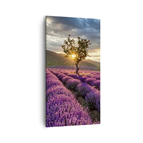 Deco cadre salon art wall decor : evasion nature champ de lavande