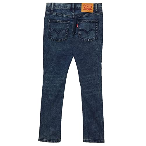 Levi's® Boy's Skinny Taper Jeans (Big Kids) Marsh Carbon 18 (Big Kid)2